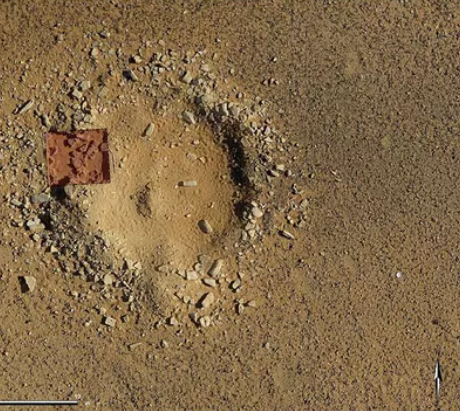Археологи нашли 8000-летние чертежи